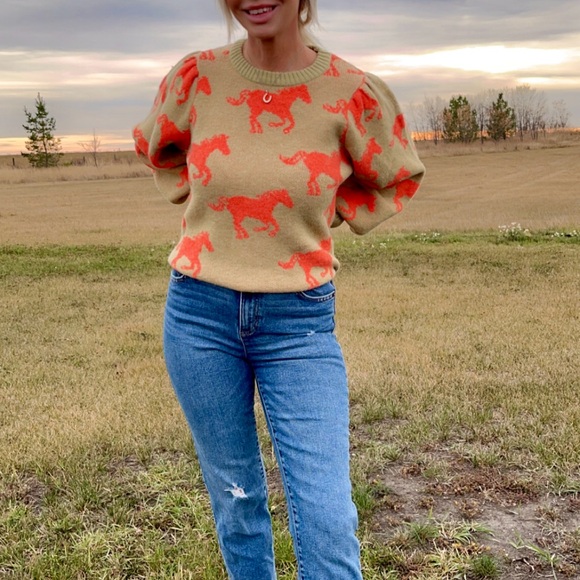 Horse knit sweater - Picture 2 of 3
